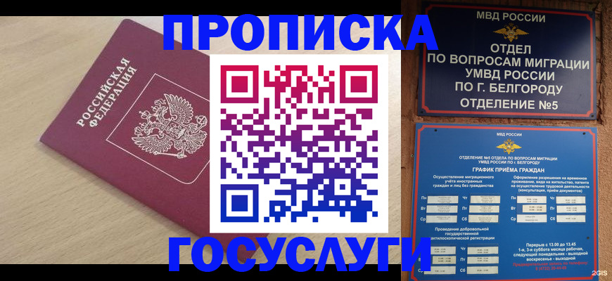 прописка законно в Губкинском